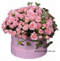 Hatbox 